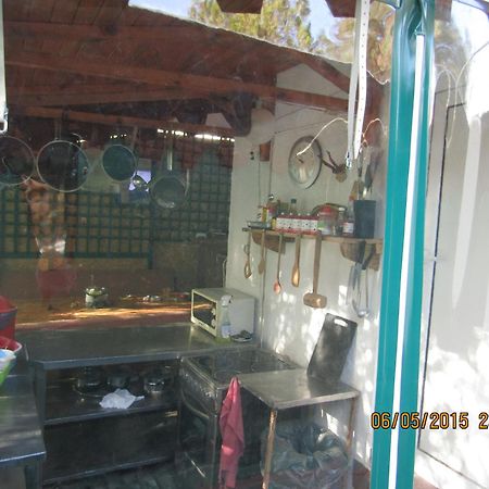 וארנה Hostel Papagal מראה חיצוני תמונה