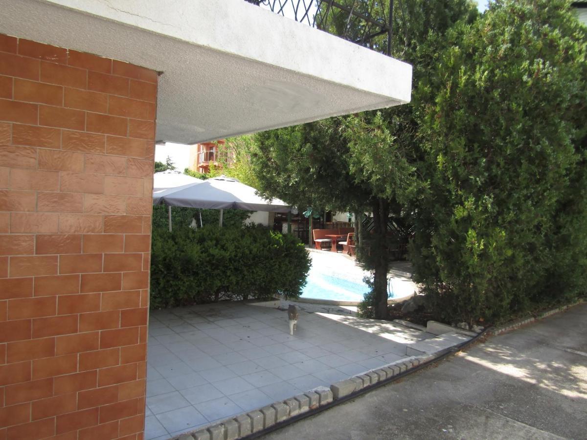 וארנה Hostel Papagal מראה חיצוני תמונה