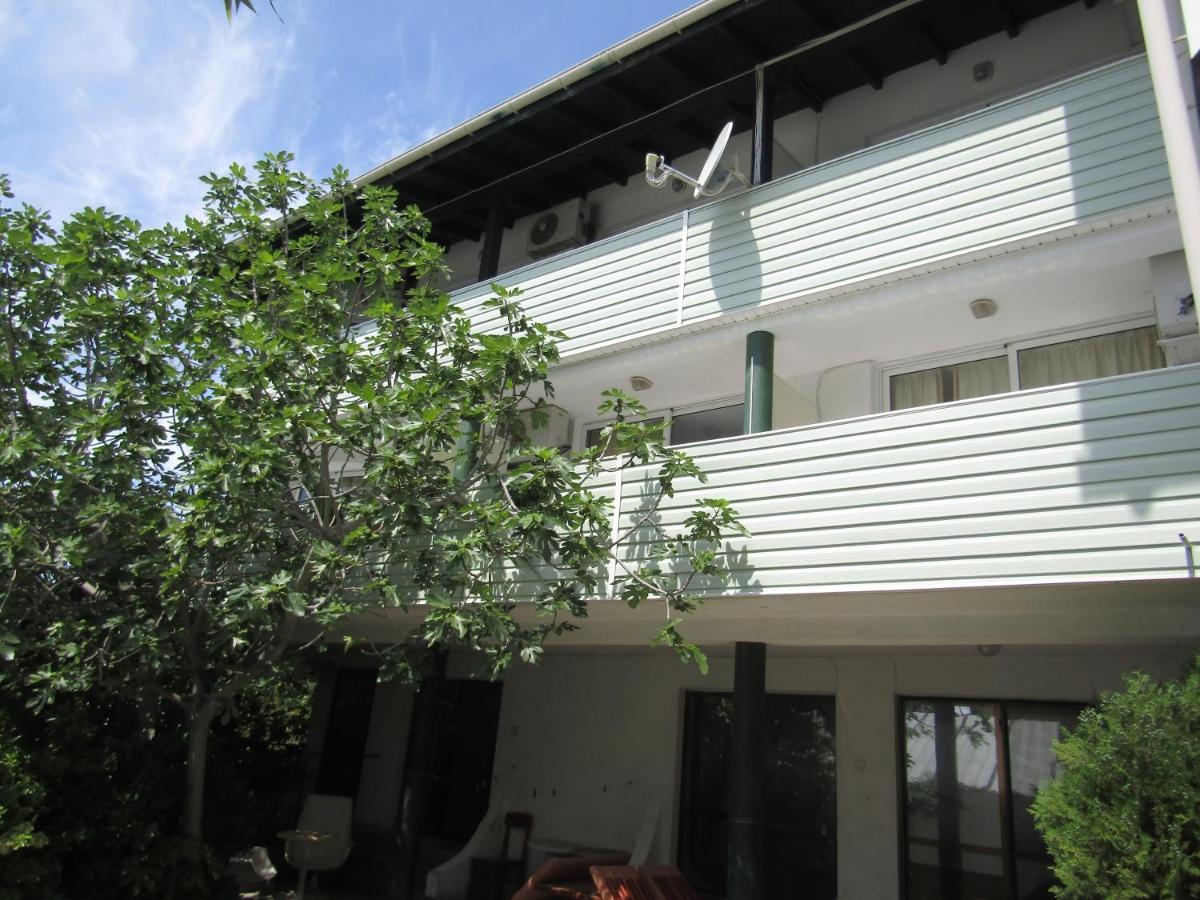 וארנה Hostel Papagal מראה חיצוני תמונה