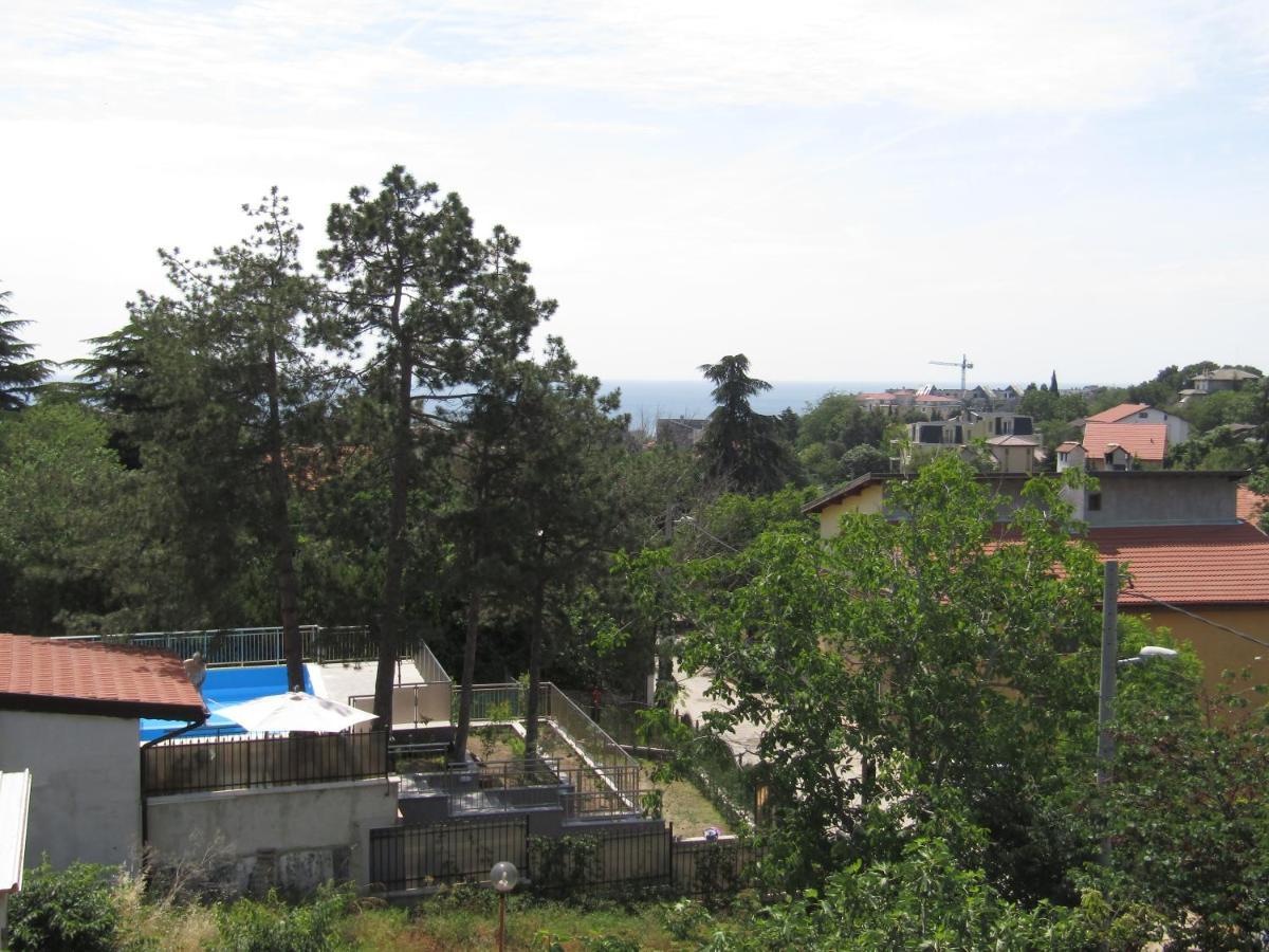 וארנה Hostel Papagal מראה חיצוני תמונה