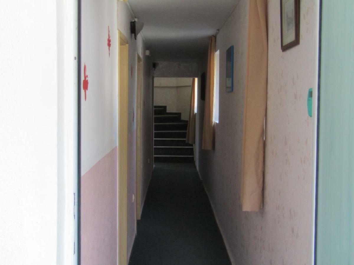 וארנה Hostel Papagal מראה חיצוני תמונה