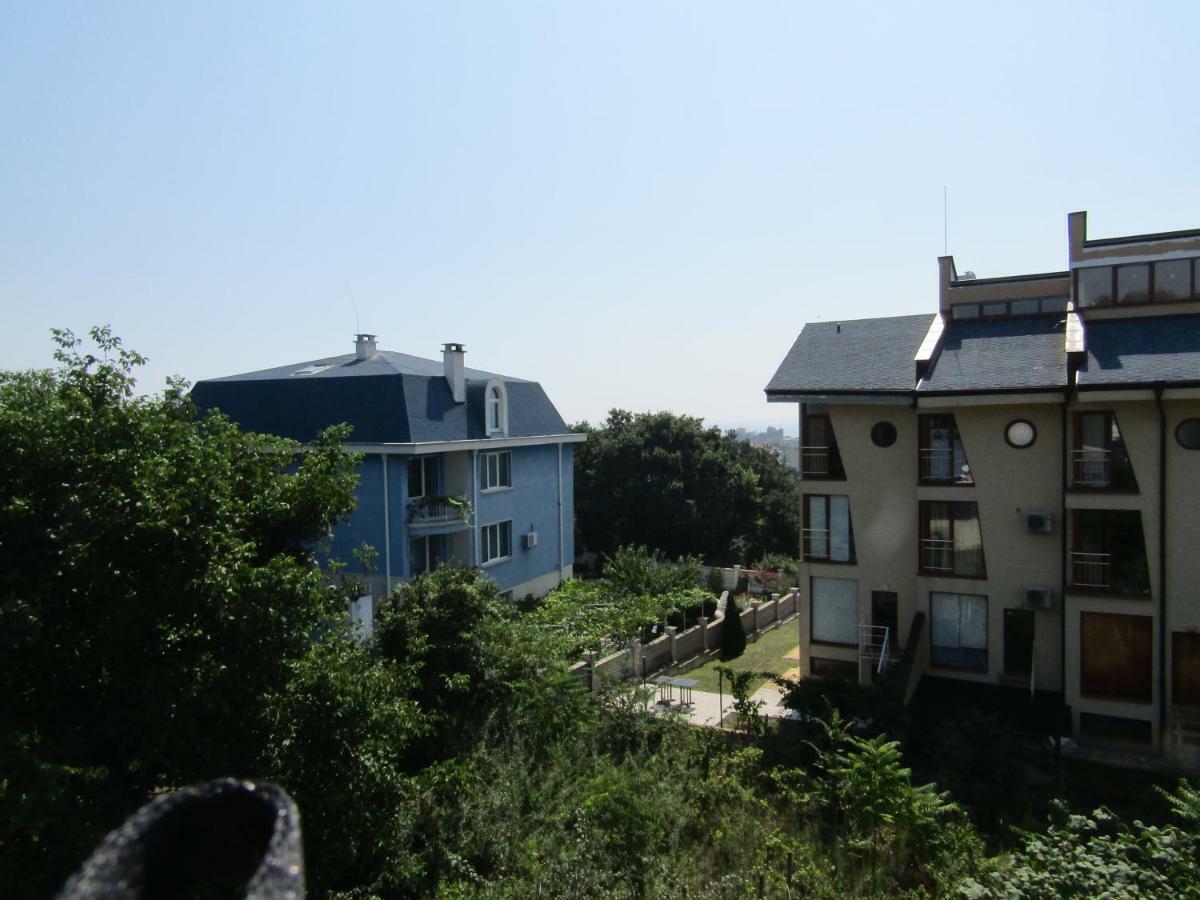 וארנה Hostel Papagal מראה חיצוני תמונה